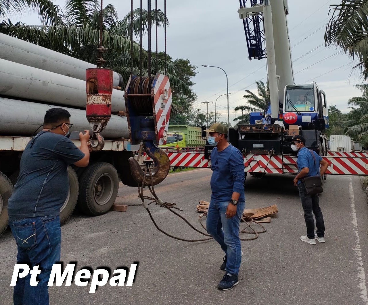 mepal-9